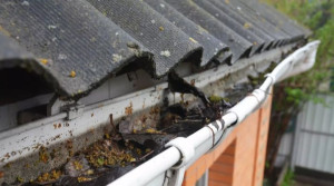 Photo de galerie - Couverture - Toiture