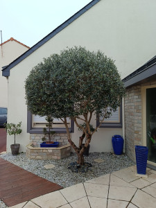Photo de galerie - Après 