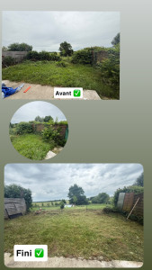 Photo de galerie - Débroussaillage, enlèvement de buisson, client, satisfait✅