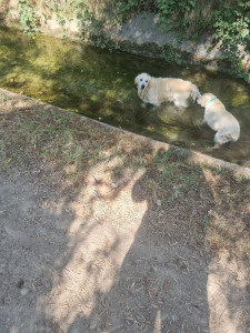 Photo de galerie - Promenade 