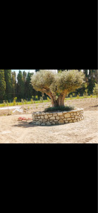 Photo de galerie - Taille de pierre - Marbrerie