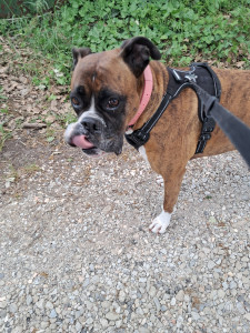 Photo de galerie - Une coquine 