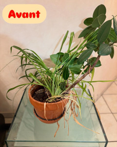 Photo de galerie - Ménage