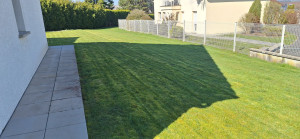 Photo de galerie - Tonte de Pelouse sur une surface de 500m² avec finition au rotofil et nettoyage au souffleur.