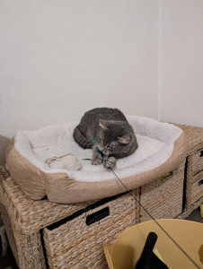 Photo de galerie - Amalya 8 mois