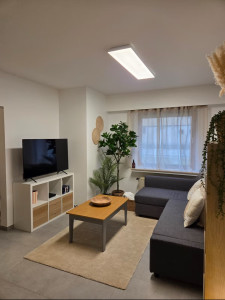 Photo de galerie - Nettoyage salon 