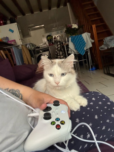 Photo de galerie - à la maison pour quelques jours 