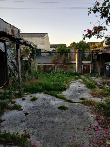 Photo de galerie - Tonte de pelouse - Débroussaillage
