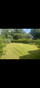 Photo de galerie - Taille de haies débroussaillage tonte 