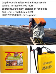Photo de galerie - Traitement antimousse pour toiture 