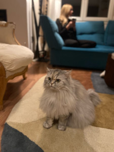 Photo de galerie - With Pims 