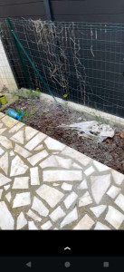 Photo de galerie - Maçonnerie