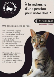 Photo de galerie - Pension pour chat ?