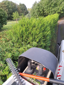 Photo de galerie - Taille de haies et d'arbustes