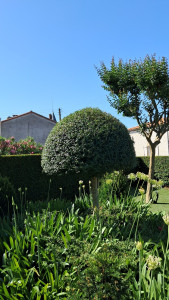 Photo de galerie - . 