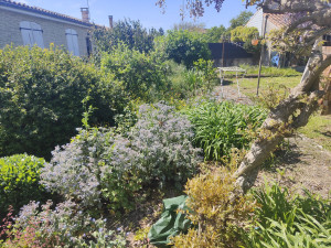 Photo de galerie - Entretien parterre de fleurs 
