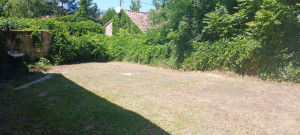 Photo de galerie - Tonte de pelouse - Débroussaillage