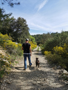 Photo de galerie - Promenade et garde 