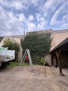 Photo de galerie - Paysagiste - Aménagement du jardin