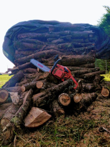 Photo de galerie - Ici une coupe de bois de chauffage.