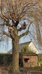 Photo de galerie - Bonjour 

Entretien espaces verts 
 
vous propose les prestations 
au meilleur prix 

✅Taille d'arbre
✅ Taille de haies Débrous 
✅ Tonte de pelouse 
✅ débroussaillage 
✅ évacuation des végétaux 
✅ Nettoyage remise en état jardin
Devis gratuit 