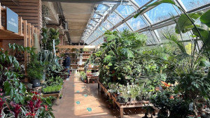 Photo de galerie - Employé à Botanic 
