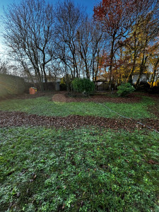 Photo de galerie - Ramassage de feuilles ? 