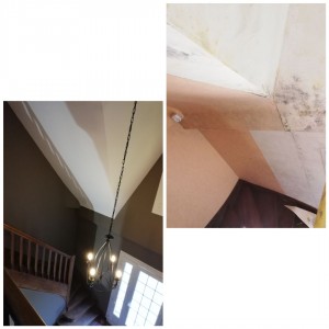 Photo de galerie - Rénovation 