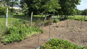 Photo de galerie - Remise en état complet d'un potager de 600m2 