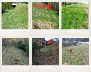 Photo de galerie - Cette Photo illustre une intervention de débroussaillage.