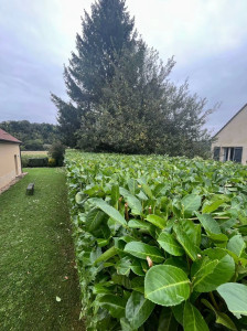 Photo de galerie - Bricolage et multi services