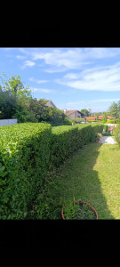 Photo de galerie - Taille d'une haie sur différents niveaux 