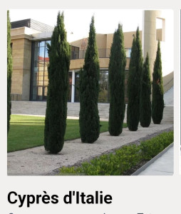 Photo de galerie - Paysagiste - Aménagement du jardin