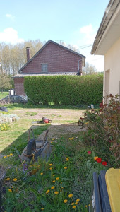 Photo de galerie - Taille de haies 