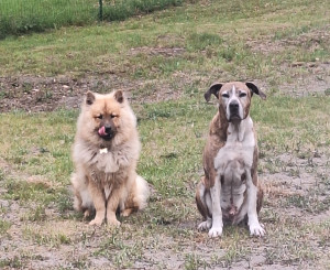 Photo de galerie - Machico & Khéops