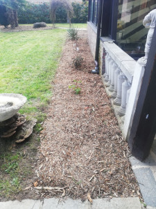 Photo de galerie - Paysagiste - Aménagement du jardin