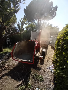 Photo de galerie - Broyeur de végétaux  XL