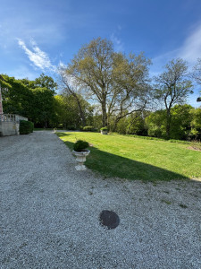 Photo de galerie - Tonte de pelouse 