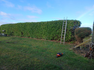 Photo de galerie - Janvier 2026