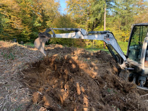 Photo de galerie - Déssouchage mécanique 