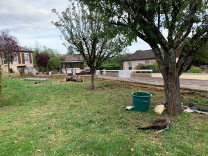 Photo de galerie - Abattage de haie 