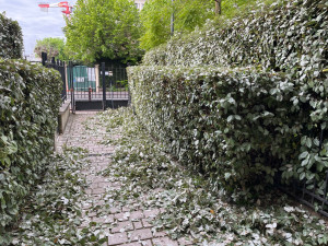 Photo de galerie - ???