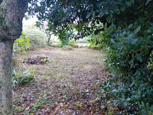 Photo de galerie - Débroussailler un potager 