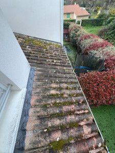 Photo de galerie - Couverture - Toiture