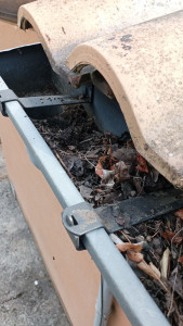 Photo de galerie - Couverture - Toiture