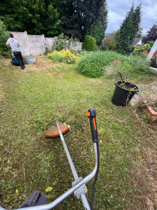 Photo de galerie - Tonte pelouse débroussaillage jardin 250m2 