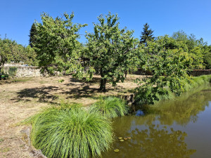 Photo de galerie - Nettoyage du bassin en sortant les plantes aquatiques envahissantes. Merci au propriétaire pour sa confiance et pour nos multiples interventions chez lui.