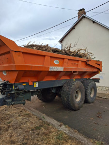 Photo de galerie - Evacuation apres arrachage de souches