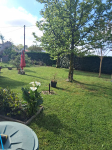 Photo de galerie - Entretien jardin 