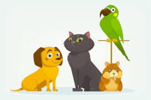 Photo de galerie - J’adore les animaux garder/sortir vos animaux serait un plaisir 